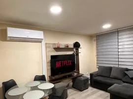 Departamento Diario Villarrica