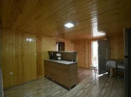 Nika house