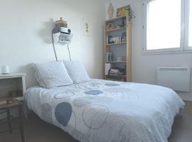 Chambre calme dans un appartement lumineux, homestay in Toulouse