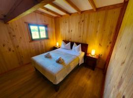 Cabaña Alto Naupe, hotel in Puerto Saavedra