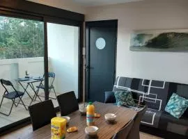 Appartement Mimizan Plage accès direct plage surveillée