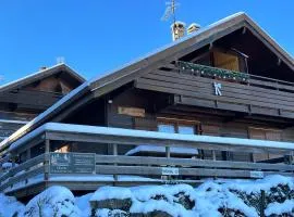 Chalet LE TREMPLIN - wifi, BBQ, parking