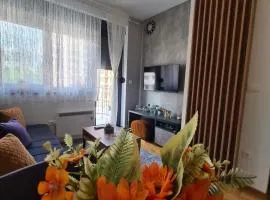 Apartman Rajska dolina Titova vila