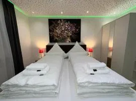 Modern Apartments Neuburg D - TOP - 2 Zimmer, Parkplatz, Balkon, Wi-Fi, 2 TV, Dusche, Küche