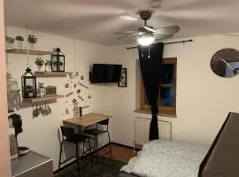 Vilseck Apartment