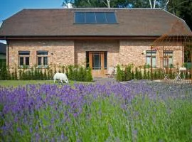 B&B Gielse Garden