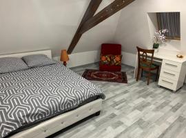 Chambre rustique avec double lit et sa salle de bain privée, bed and breakfast en Urbès