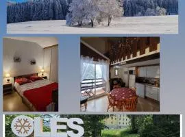 LE CHALET DES SAPINS, Superbe Duplex avec belle vue, Au Coeur Des Rousses, Tout confort 5 pers, Draps inclus, parking gratuit