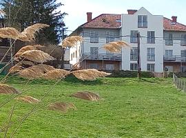 Onix-Vital Apartman Orfű, beach hotel in Orfű