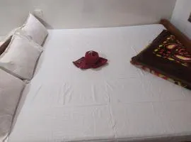 PAYEL LODGE、ディガのシャレー