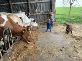 Boerencamping Swarthoeve, puhkemajutus sihtkohas Wormer