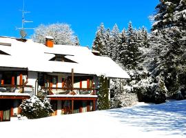 Michels Apartment, Ferienunterkunft in Titisee-Neustadt