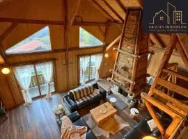 Luxueux chalet 5 chambres