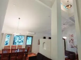 Semi-detached house with sauna