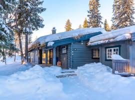 Trysilfjellet s&oslash;r 318，特呂西爾的滑雪度假村