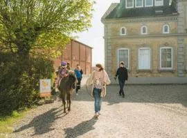 Büdlfarm - Der Familien-Erlebnishof in Strandnähe