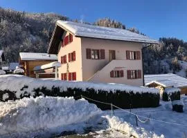 Perfect Mountain Condo - 4 Valleys - Swiss Alps