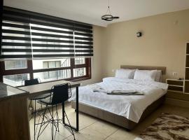 BROWN, serviced apartment in Ankara