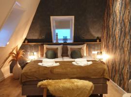 Suite De Brinkparel, B&B din De Koog