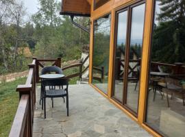 Brvnare Libero TARA, hotel in Bajina Bašta