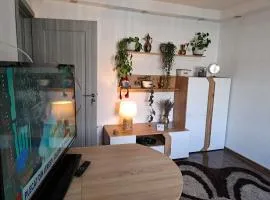 Apartament Medias Metanului