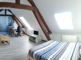 Appartement de Charme, апартамент в Lacroix-Saint-Ouen