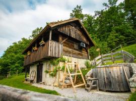 Vineyard Cottage Skatlar, cabaña o casa de campo en Otočec