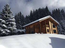 Chalet aux Cerfs - Maison pour 10 vue montagne, Ferienhaus in Arâches-la-Frasse