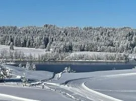 Loft mit Seeblick und Innenpool
