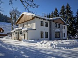 Penzion Apidae, Pension in Deštné v Orlických horách