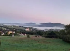 POD RÓŻĄ