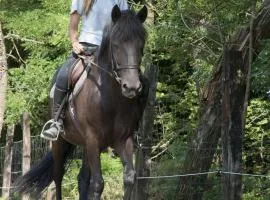 Agriturismo Jesson Rosamund
