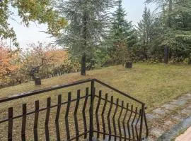 Awesome Home In Cerqueto Di Civitella