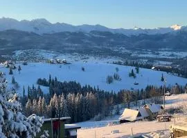 Panorama Tatr