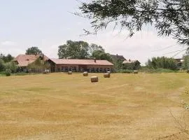 Hof am Meer "Seefalke"