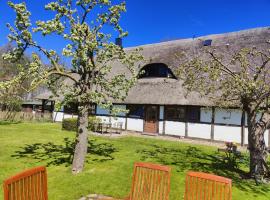 Reetmeer Apartments Spa & Reetdach am Salzhaff, hotel di Boiensdorf
