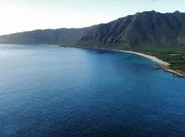 Kalo Homes - Makaha Valley Oasis