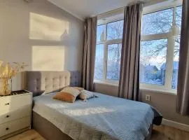 Tolstoi Scandinavian 1 bedroom apartment + free parking