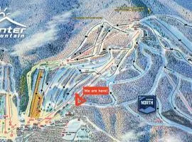Hunter Mtn Slopeside Ski Resort w HotTub Heated Pool Sauna and Fireplace