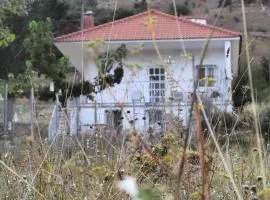 Mirto’s House