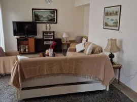 Green Corner Retro Apartment