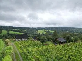 Utopia Dom przy winnicy