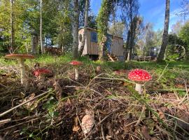 Sapphire forest garden shepherd’s hut, hotel con piscina en Church Stretton