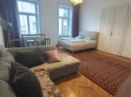 Large 4 room apartment in the center of Vienna