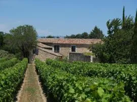 charming vacation rental with a swimming pool in the heart of luberon natural park,13 people