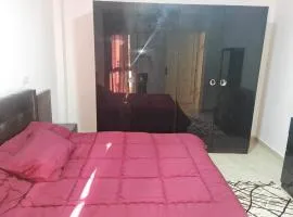 شقه مفروشه بمدينتى