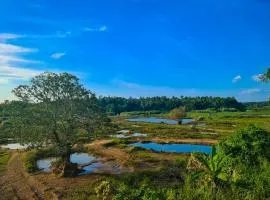 Suite by CL Airport Transit