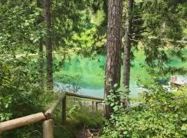 Nuovo Margiolà Dolomiti