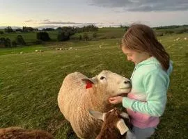 Jilly Park Farmstay Experience Discover Authentic Farm Life Complimentary Breakfast Included