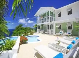 Beautiful 2-bed cliffside villa - Saline Reef villa